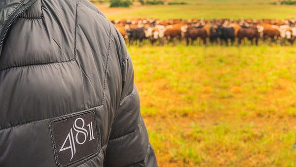 Jornada 481: Uma viagem imperdível para os apaixonados por carne