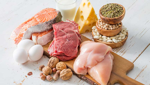 Quais são as principais fontes de proteínas animais?