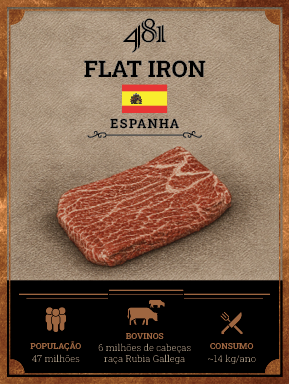 Flat Iron 481
