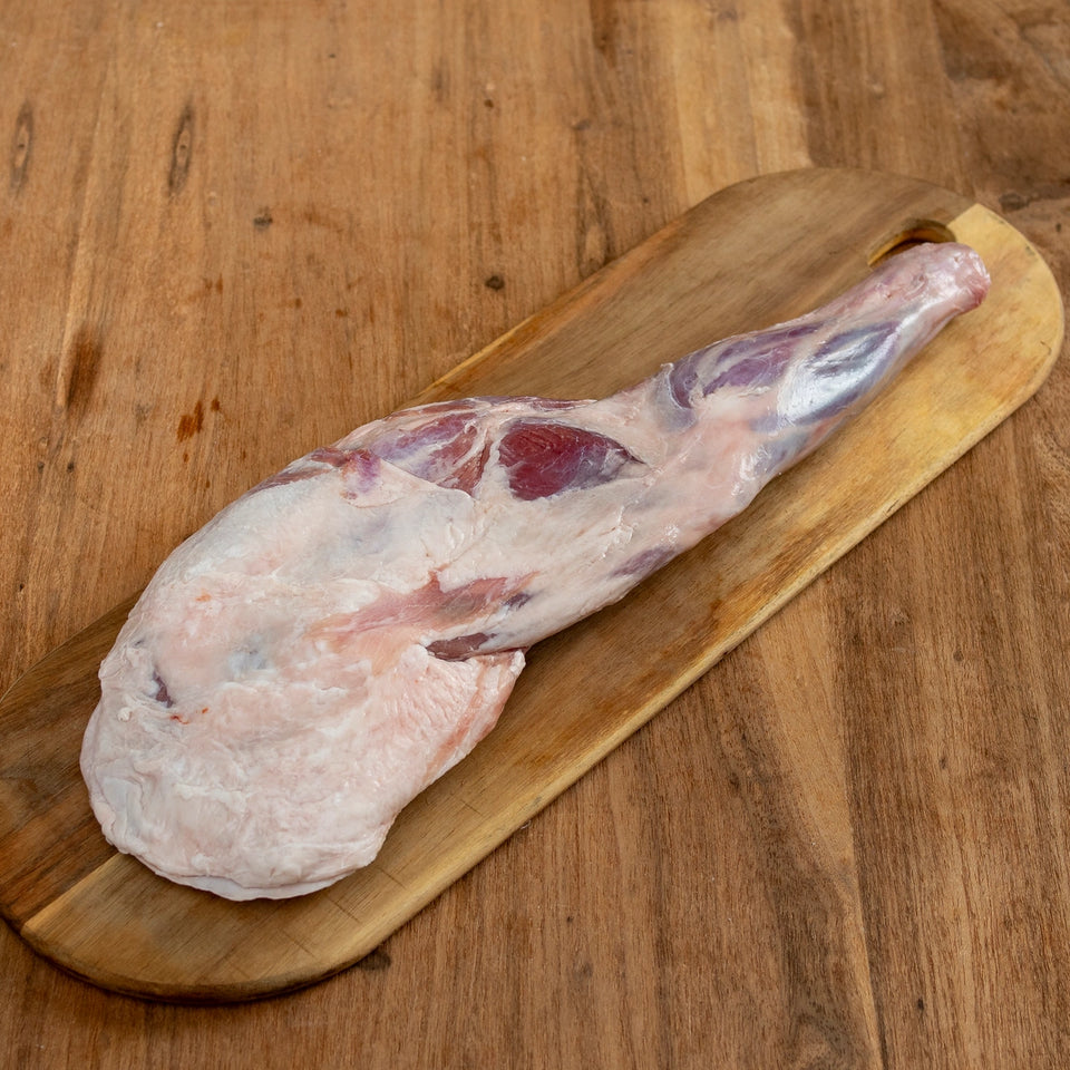 Paleta de Cordeiro 481