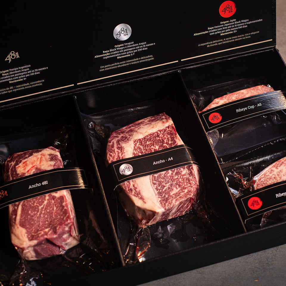 Trilogia 481 - Ancho