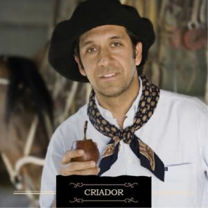 481 criador